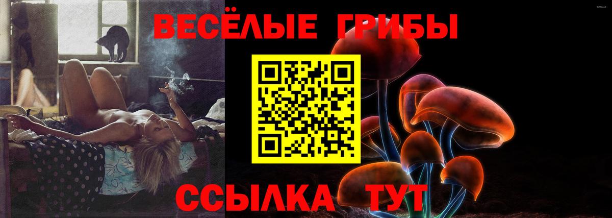 Нерюнгри  Псилоцибиновые грибы Psilocybe  Вход с VPN 