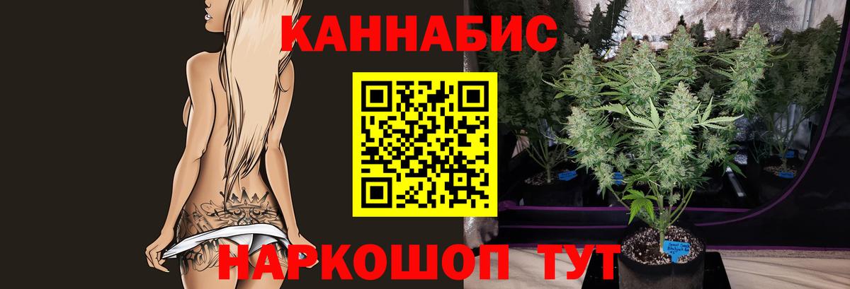 Нерюнгри  Канабис план  Вход с VPN  Шишки марихуана MAZAR  Конопля OG Kush 